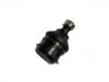  Ball Joint:43310-39055