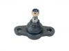  Ball Joint:51760-2E000